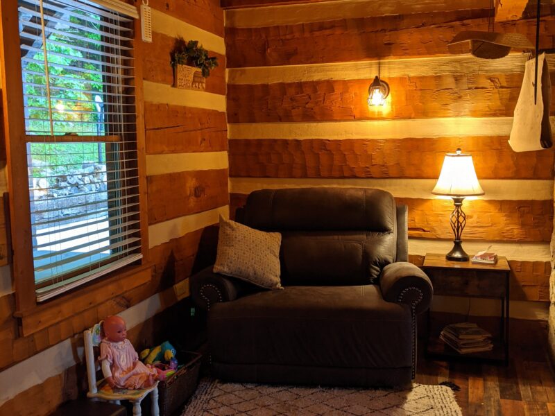 Buena Vista Log Cabin